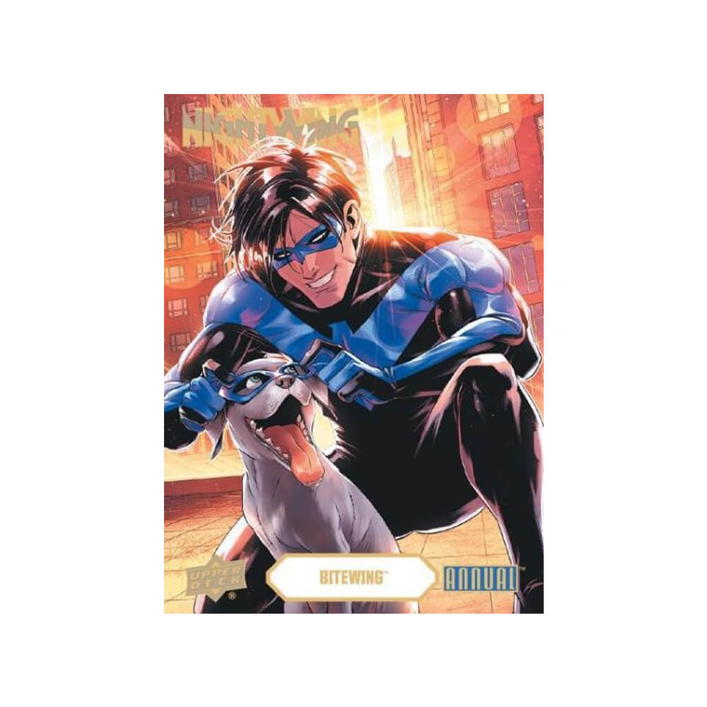 2024-25 Upper Deck DC Annual Blaster Box